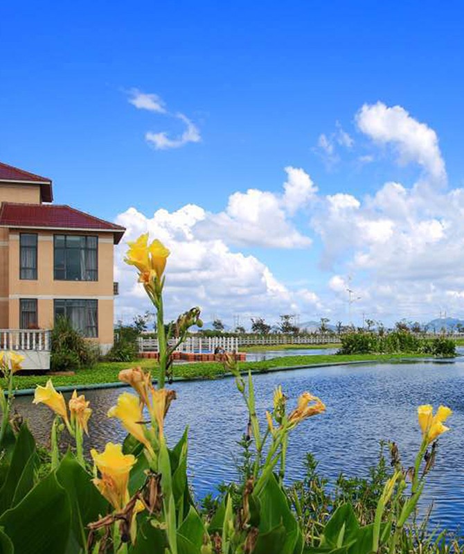 pg麻将胡了-(官方版)中国网站