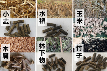 pg麻将胡了-(官方版)中国网站